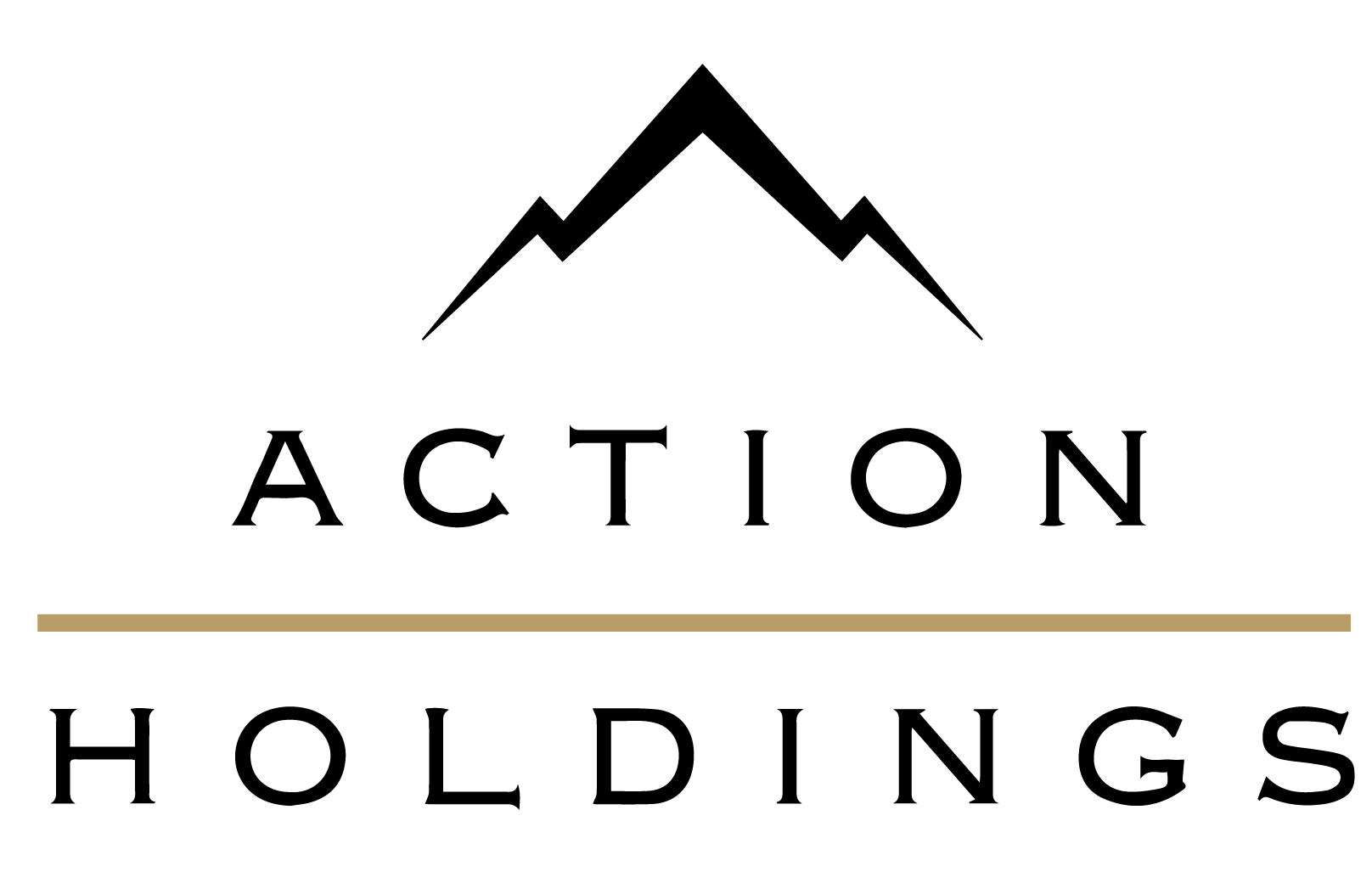 Action Holdings